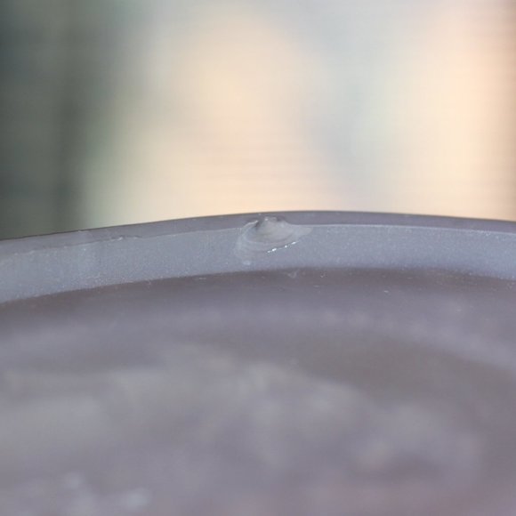 Frosted glass Floral Cameo Portrait woman bust Dresser tray Plate flower Vintage - Picture 5 of 5